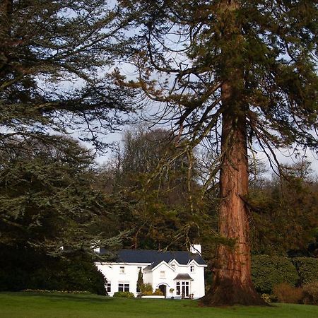 Ynyshir Restaurant And Rooms Machynlleth Eksteriør bilde
