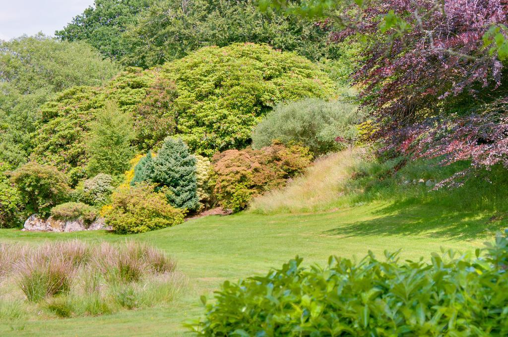 Ynyshir Restaurant And Rooms Machynlleth Eksteriør bilde